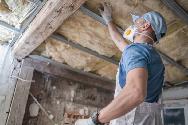 Best Commercial Insulation in Wyldwood, TX