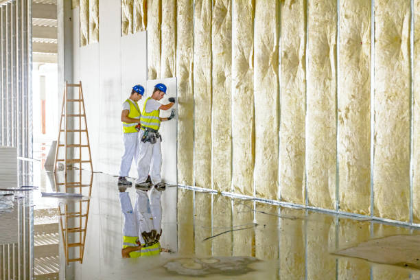 Best Residential Insulation in Wyldwood, TX